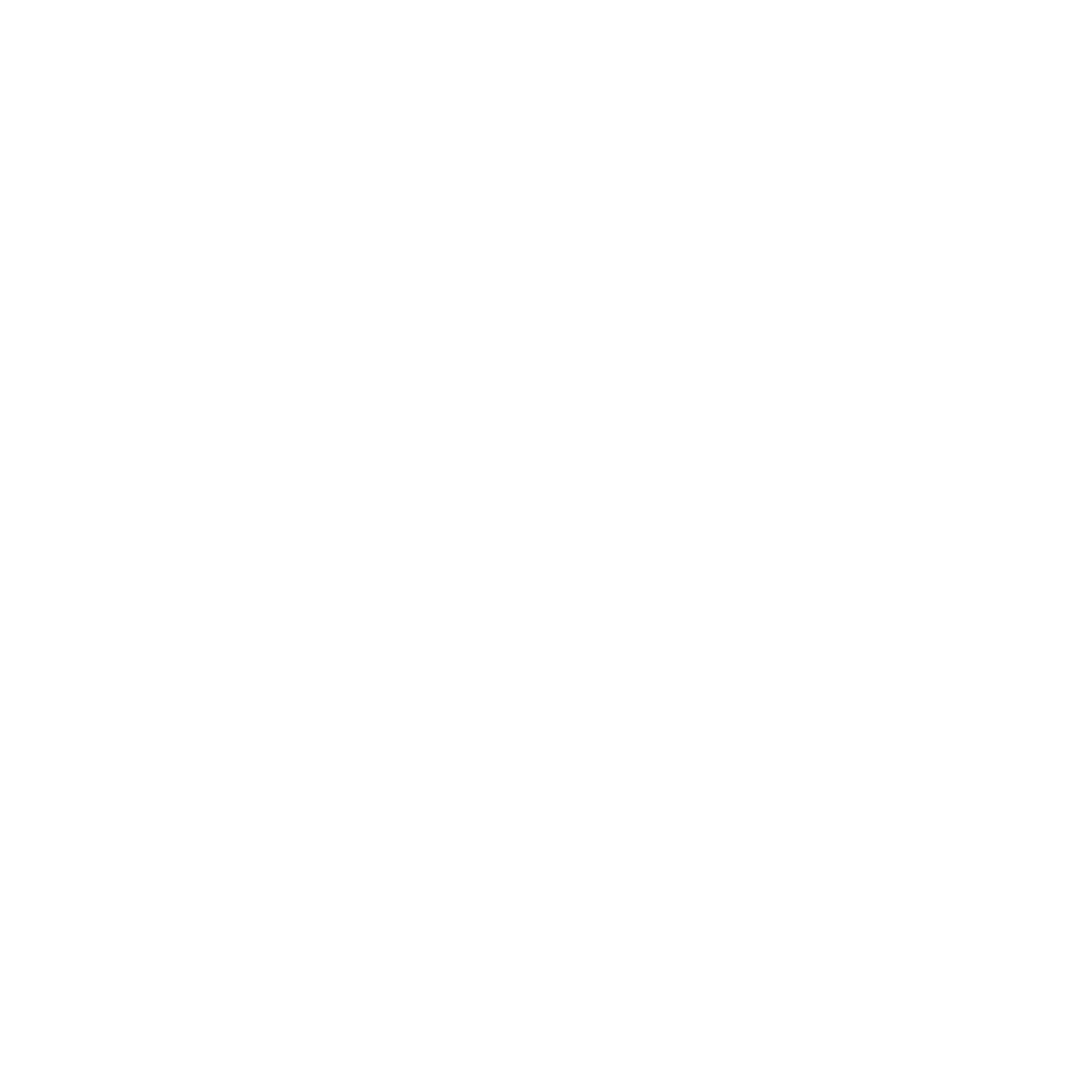 crystal auto white logo